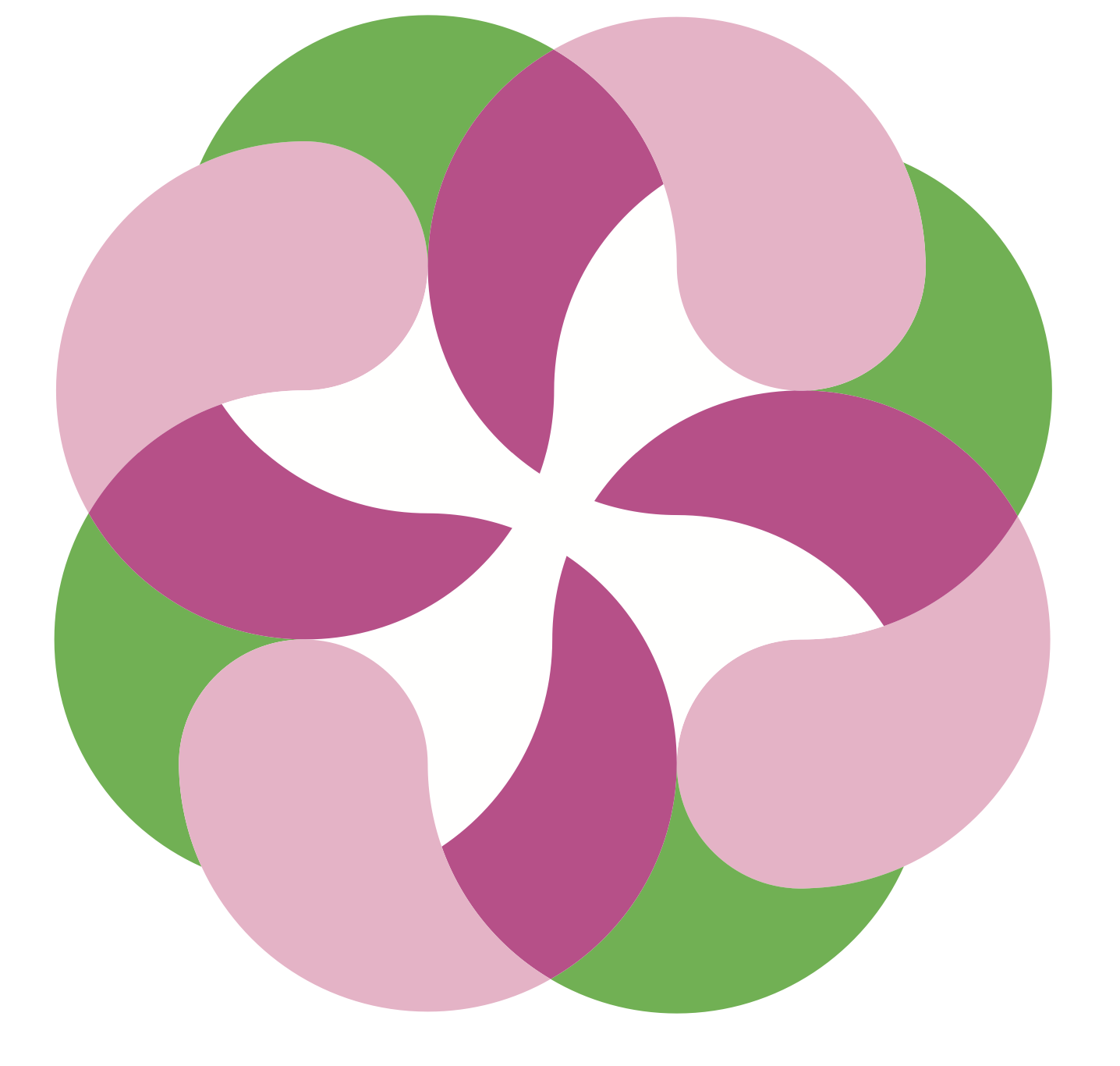 Web Project 1